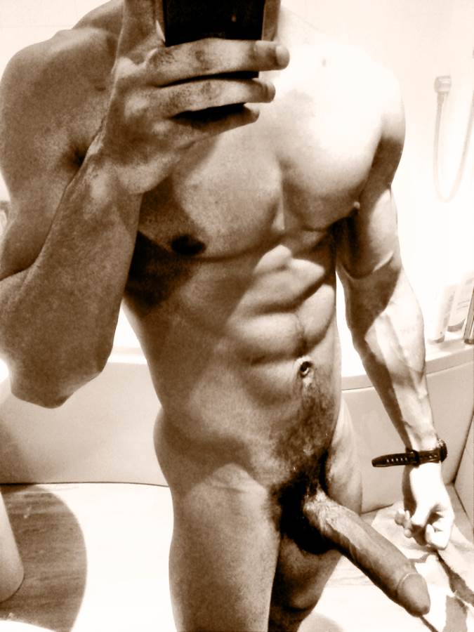 Image #2515